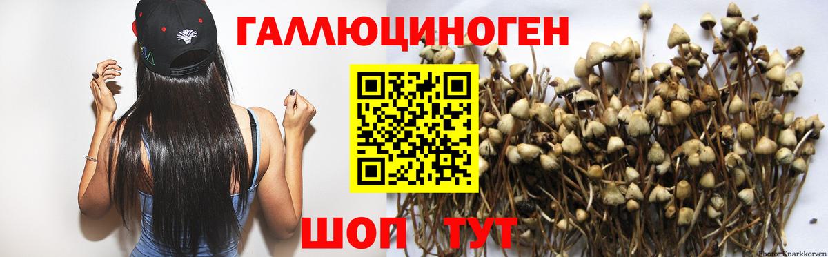 Галлюциногенные грибы GOLDEN TEACHER Муром